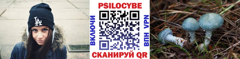Псилоцибиновые грибы мухоморы  как найти закладки  Хилок 