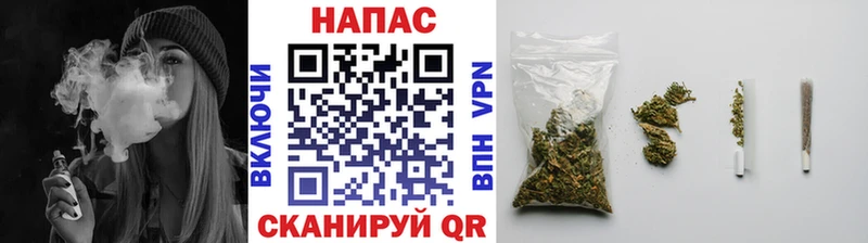 Конопля ГИДРОПОН Хилок